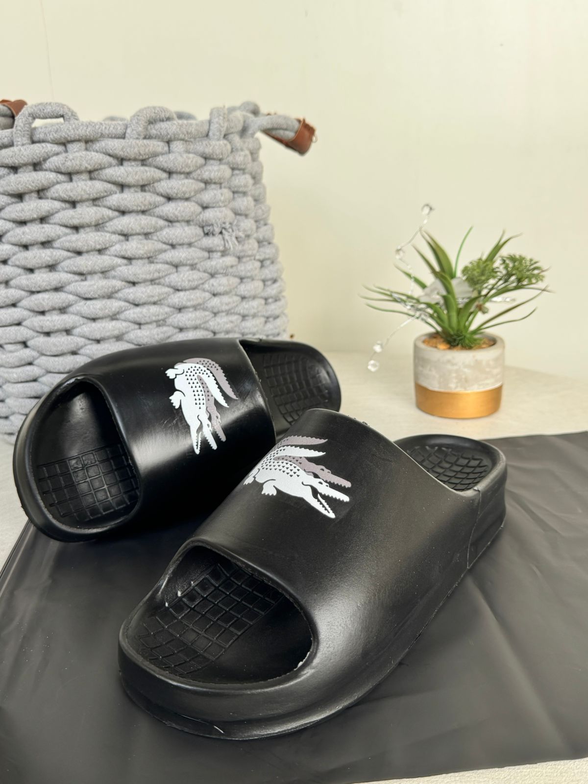 Slide Lacoste  